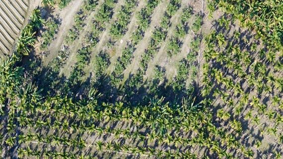 ALPAS II 神农无人直升机