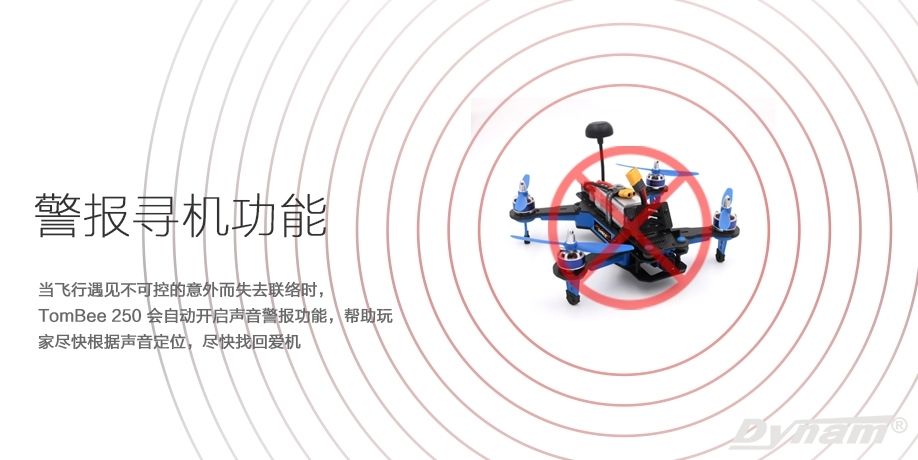DetrumTech 顶翔 竞速无人机 TomBee 250