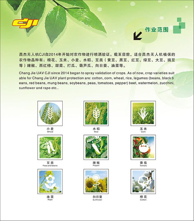 昌杰农业 遥控多旋翼植保喷雾机 3WCJM-10